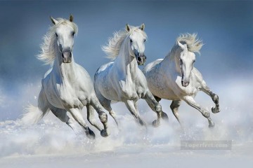  Riendo Pintura - corriendo caballos grises realistas de la foto